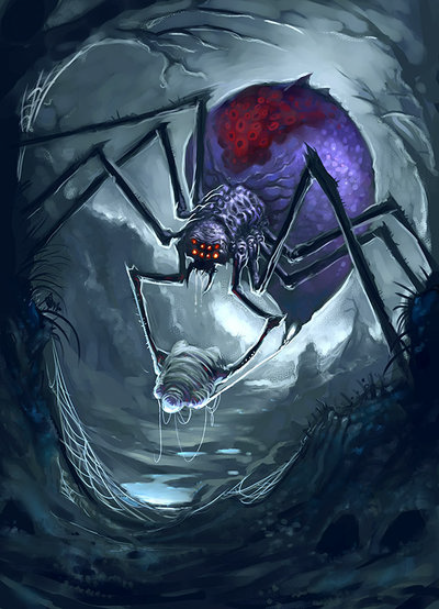 Spiderwebbe