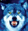 WolfAlpha015