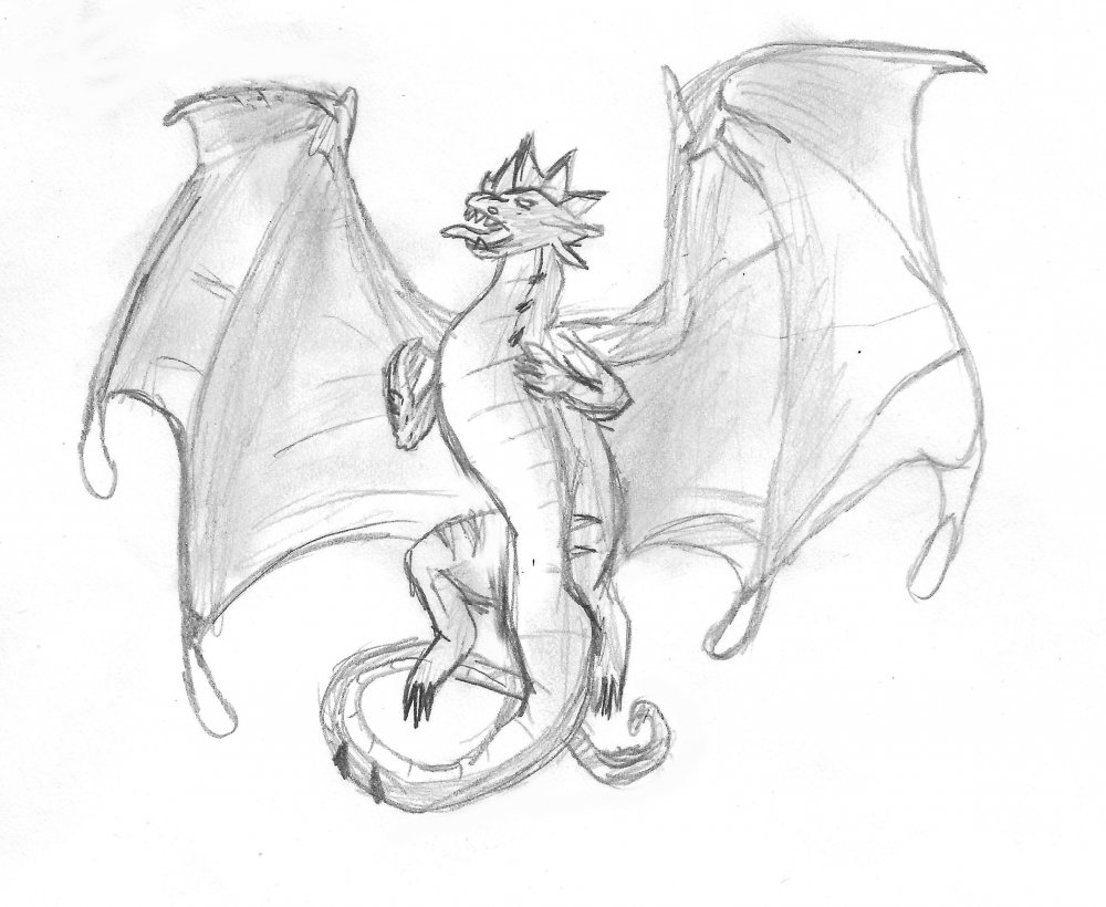 dragon (1).jpg