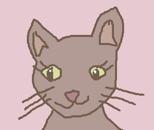 confused cat.png