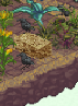 965340140_2crows.png.2c2219cad0bcd960807ae3a81ce90b68.png